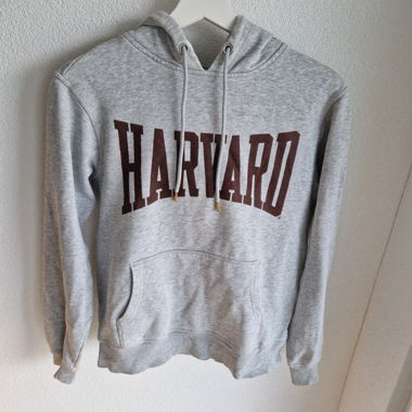 Havard Hoodie