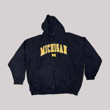 Hoodie Michigan College