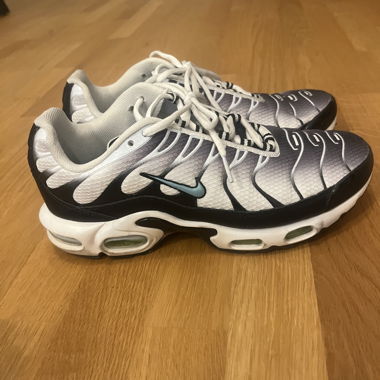 Nike TN Air Sneakers