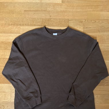 Zara brown sweatshirt