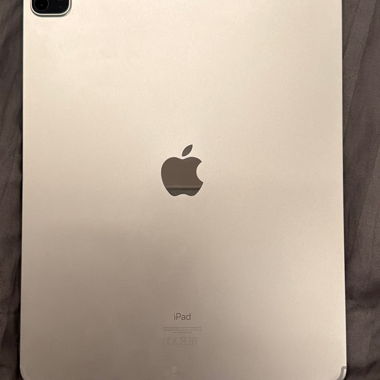 iPad Pro 12,9 silver 256 gb cellular accessoires 