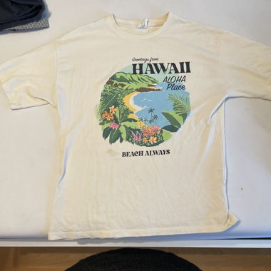 T-shirt ZARA Hawaii