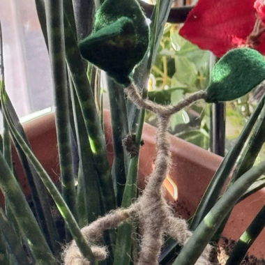 Decorazione Bowtruckle fatta a mano