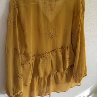 Zara sheer embroidered blouse