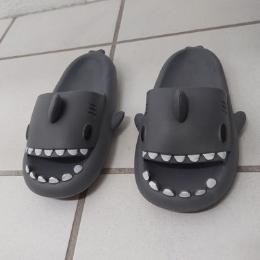 Amazon Shark Slides