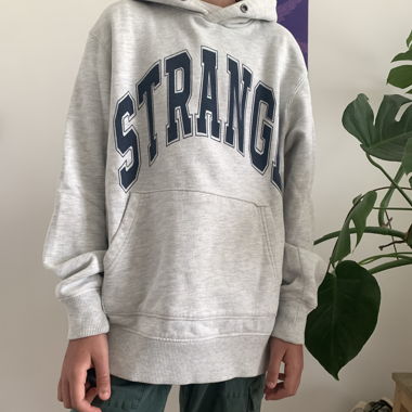 grey hoodie from springfield
