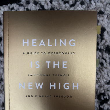 healing is the new high book