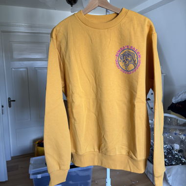 Pull Le Roi Lion de Disney