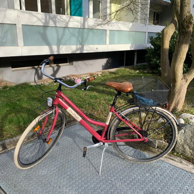 Pinkes Damen Fahrrad