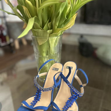 Blue Sandals with Bata Rhinestones