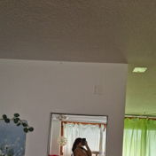 Mia_munz