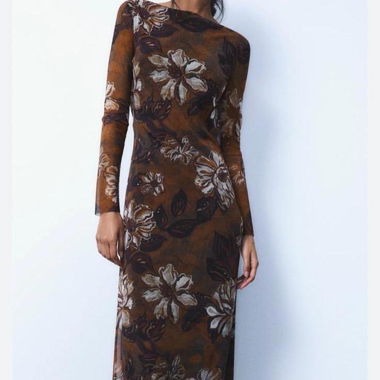 Zara dress