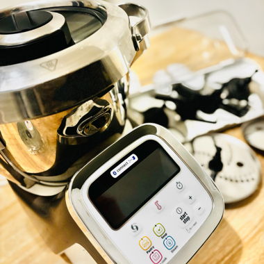 Moulinex companion xl 