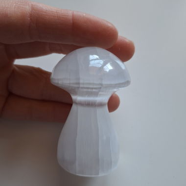 Champignon de cristal blanc