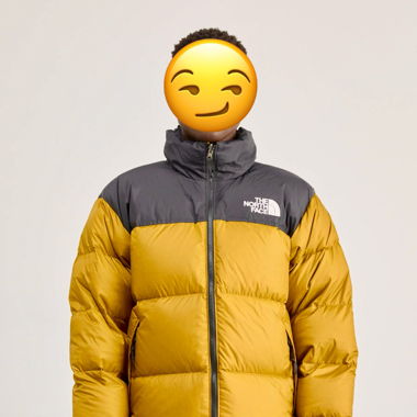 Veste The North Face 