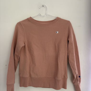 Champion sweatshirt
