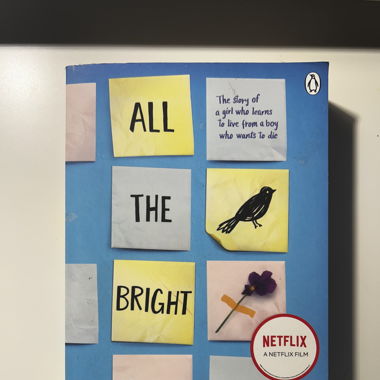 Buch „all the bright places“