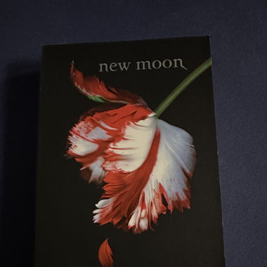 Buch New Moon