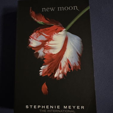 Buch New Moon