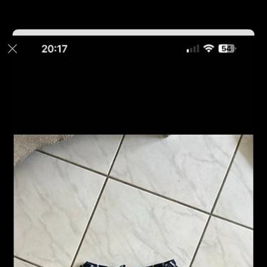 short Camaïeu