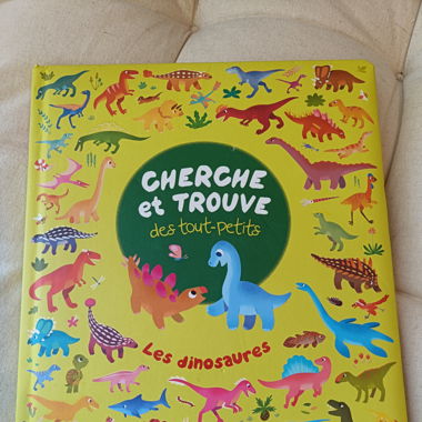 Livre cherche et trouve dinosaures 
