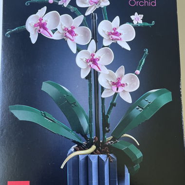 LEGO Botanical Orchid Set vollständig