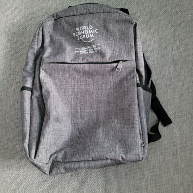 Sac à dos du Forum Économique Mondial gris