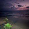 thebeach111