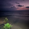 thebeach111