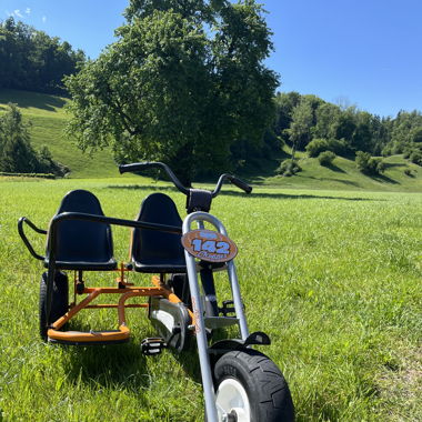 Go-Kart Berg Duo Chopper