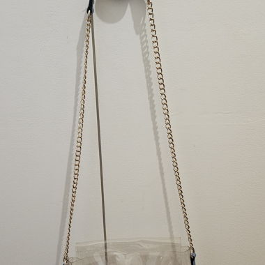 Transparent Bag