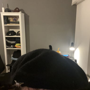 Chapeaux berets décontracté Noir 