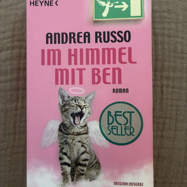 Im Himmel mit Ben Roman