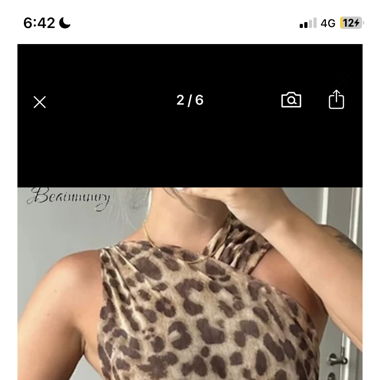 Leopard Body