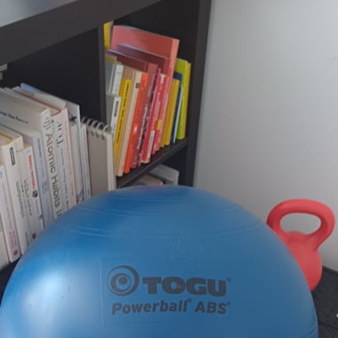 Original Togu Fitnessball (Anti-Burst)