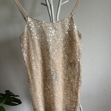 Beige Sequin Dress New
