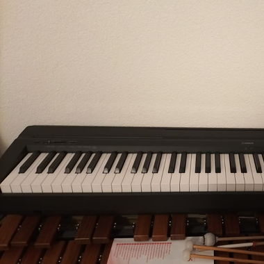 Neue digital piano p-45