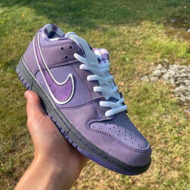 Nike SB Concepts Dunk Low Purple Lobster