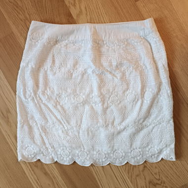 Mini Skirt with Embroidery