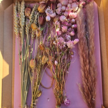 Fiori Secchi (Decorazione/Artigianato)