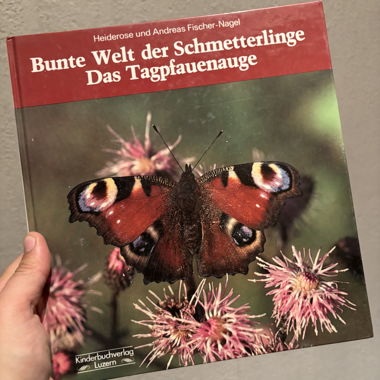 Butterfly Guide