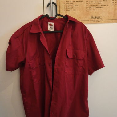 Chemise rouge Dickies