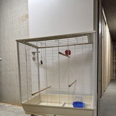 Cage pour oiseaux