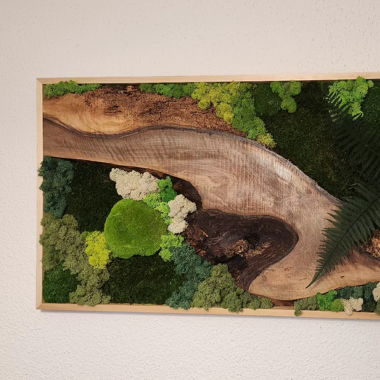 Moosbild