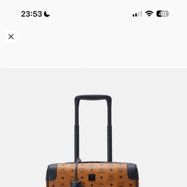 Valise MCM 