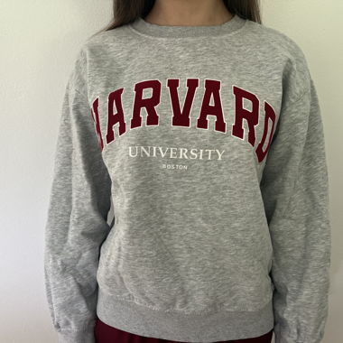 Pull de l'Université Harvard