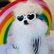 Chi-chi