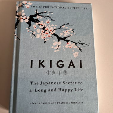 IKIGAI 生 甲斐 english book