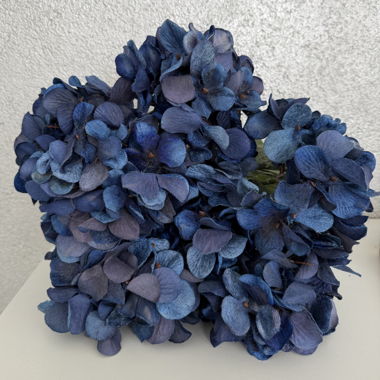 Blauer grosser Hortensienstrauss 
