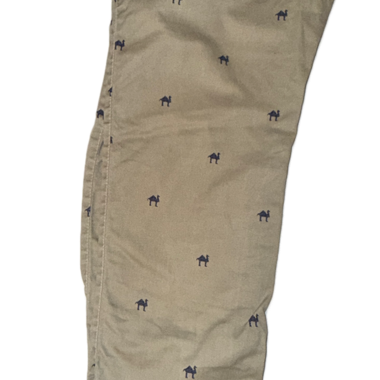 Brown Chino with Camels
